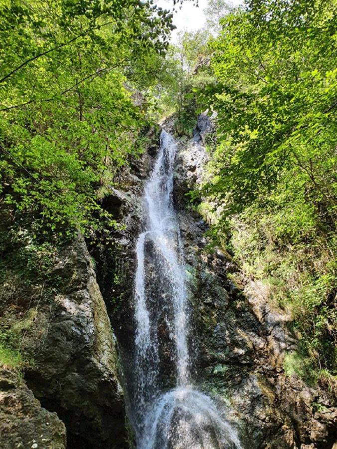 Apartament Il Bosco di Campo Marzano green & sky Borzonasca Zewnętrze zdjęcie