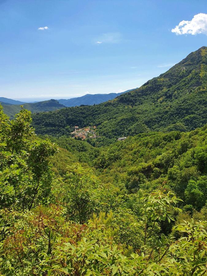 Apartament Il Bosco di Campo Marzano green & sky Borzonasca Zewnętrze zdjęcie