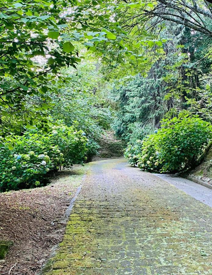 Apartament Il Bosco di Campo Marzano green & sky Borzonasca Zewnętrze zdjęcie