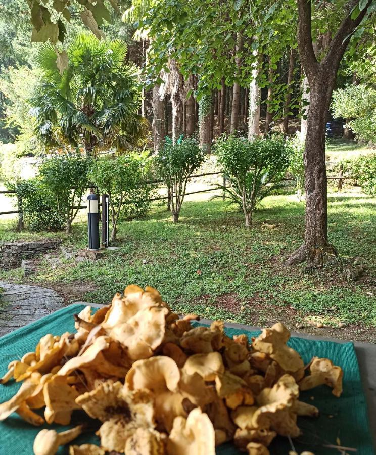 Apartament Il Bosco di Campo Marzano green & sky Borzonasca Zewnętrze zdjęcie