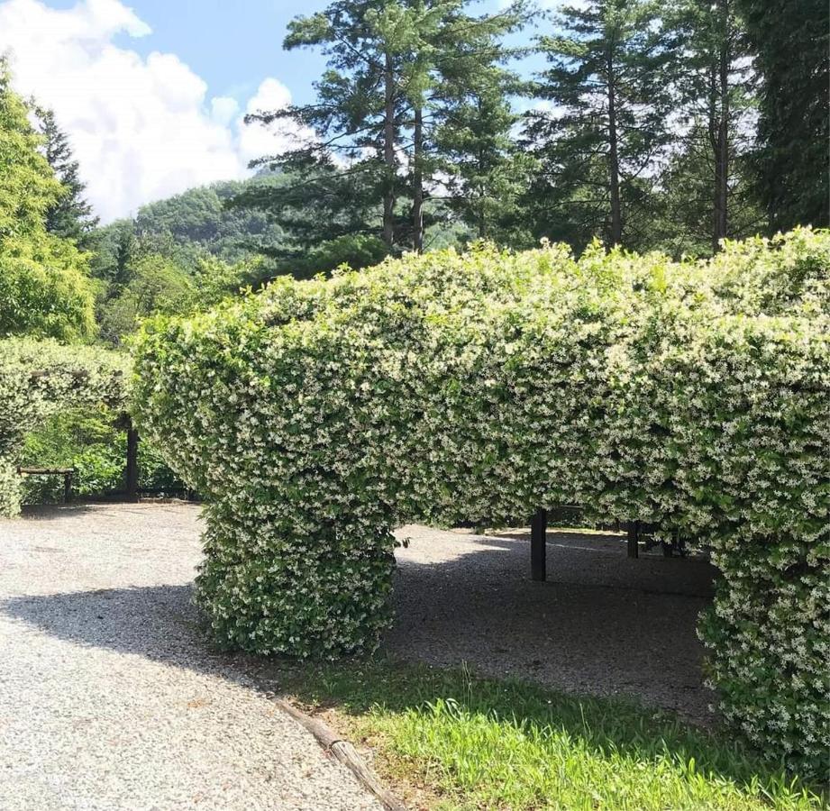 Apartament Il Bosco di Campo Marzano green & sky Borzonasca Zewnętrze zdjęcie