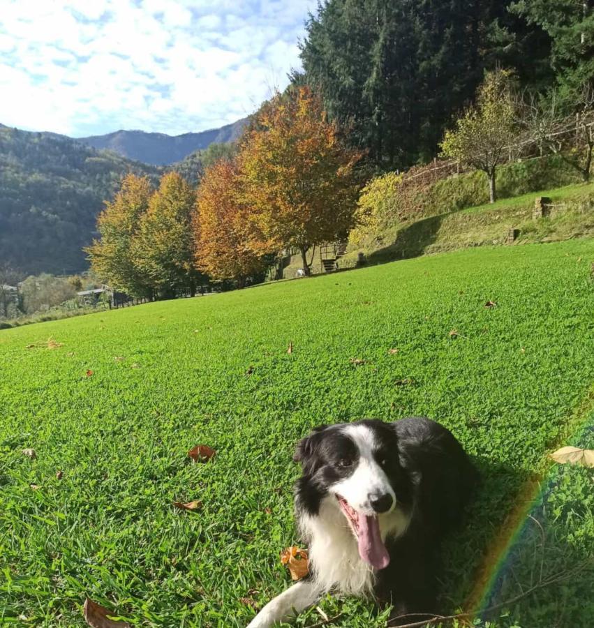 Apartament Il Bosco di Campo Marzano green & sky Borzonasca Zewnętrze zdjęcie