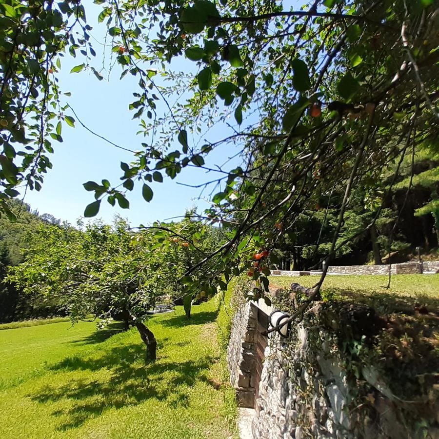 Apartament Il Bosco di Campo Marzano green & sky Borzonasca Zewnętrze zdjęcie