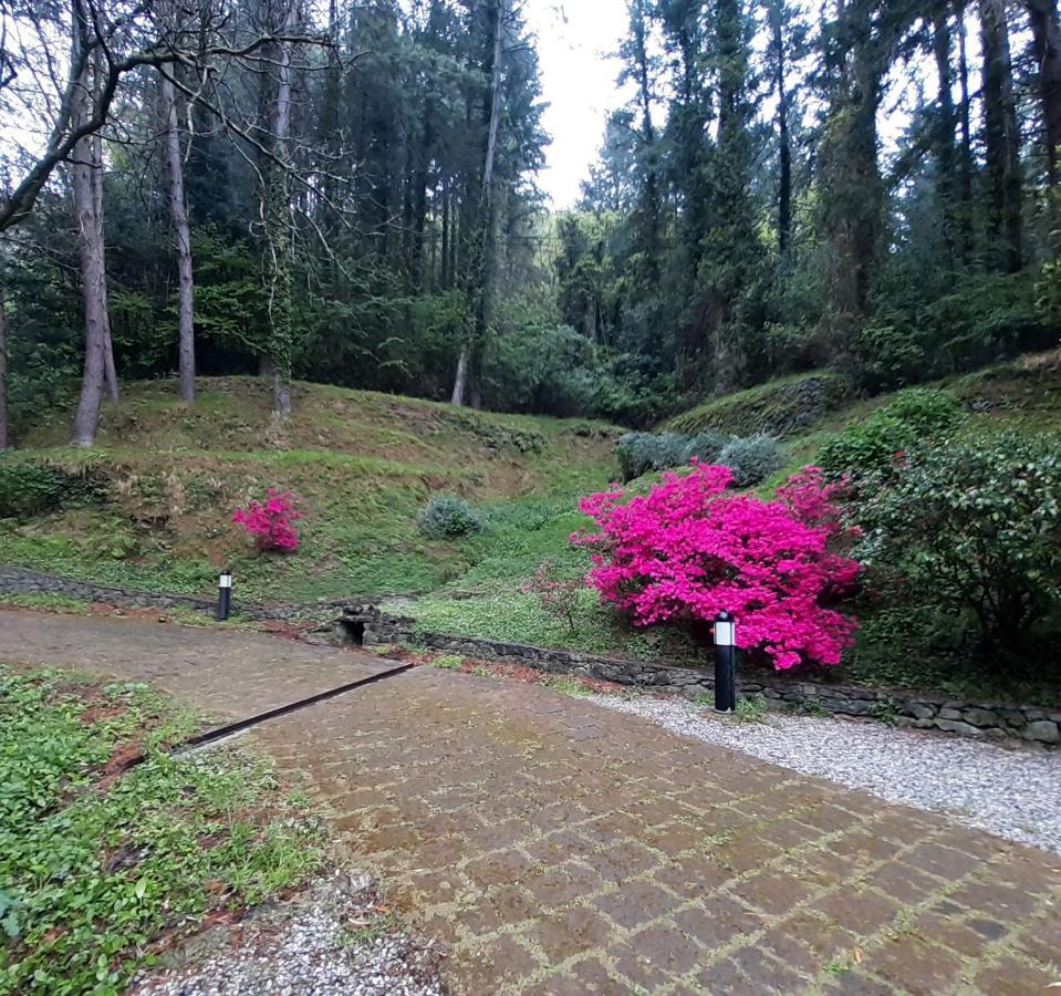 Apartament Il Bosco di Campo Marzano green & sky Borzonasca Zewnętrze zdjęcie