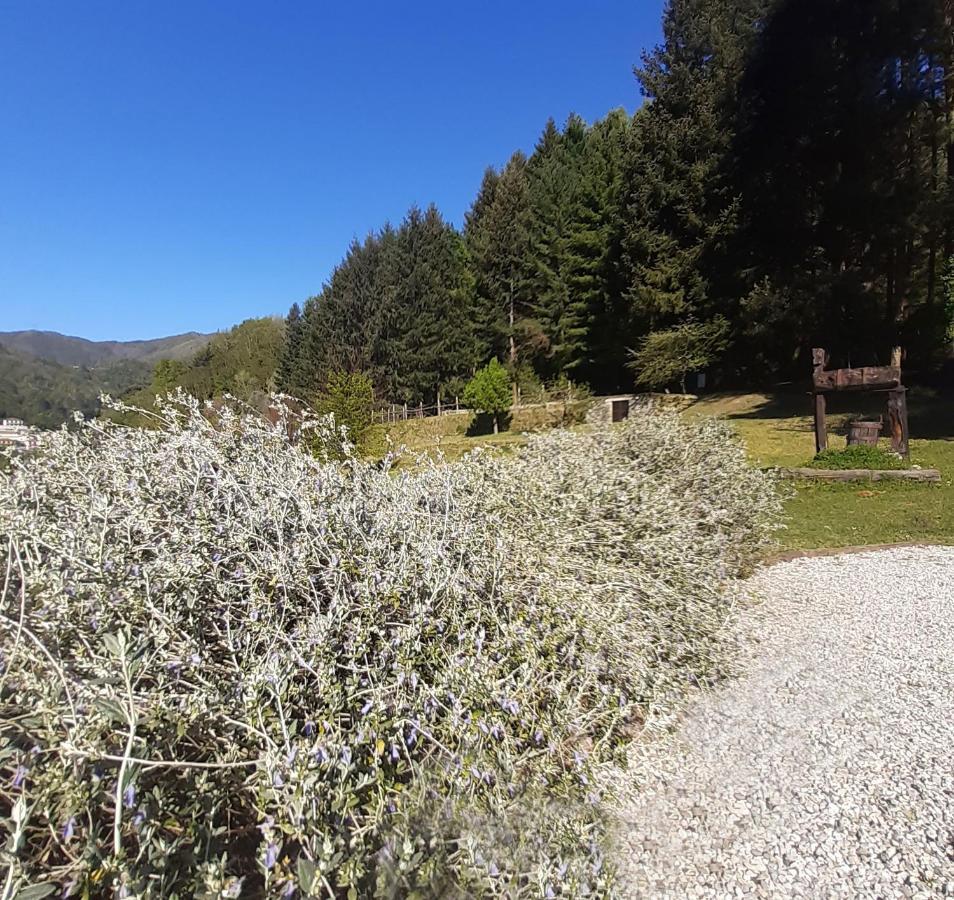 Apartament Il Bosco di Campo Marzano green & sky Borzonasca Zewnętrze zdjęcie