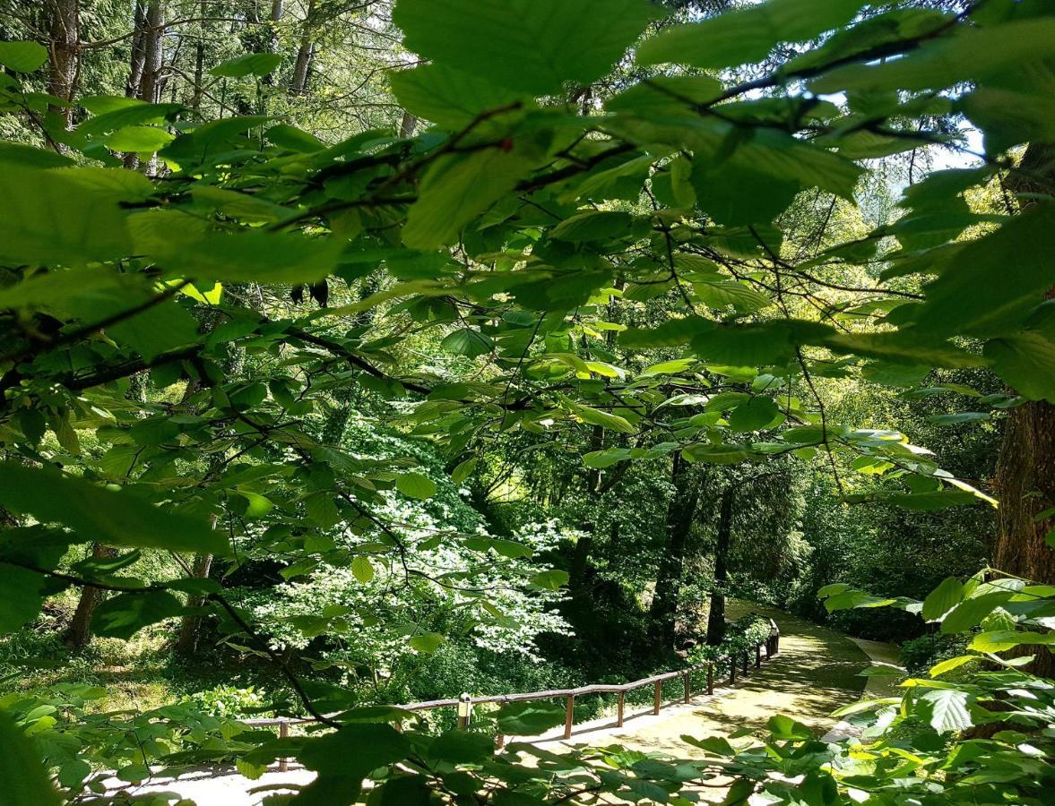 Apartament Il Bosco di Campo Marzano green & sky Borzonasca Zewnętrze zdjęcie