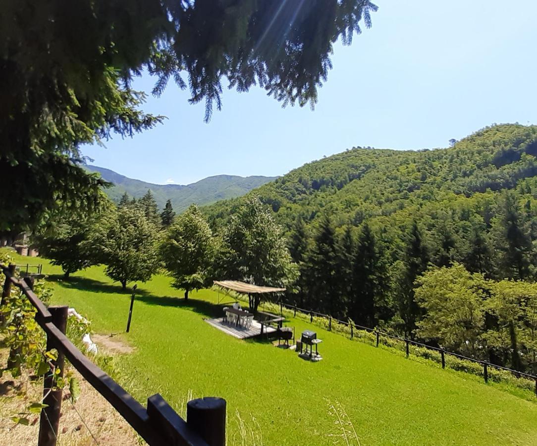 Apartament Il Bosco di Campo Marzano green & sky Borzonasca Zewnętrze zdjęcie